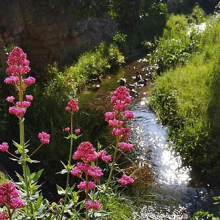 Appartement Entier Chauvigny Bagian luar foto